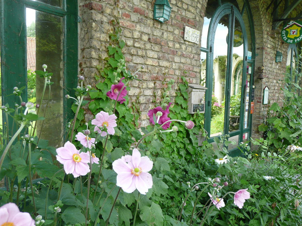Manoir De Bois En Ardres Bed & Breakfast エクステリア 写真